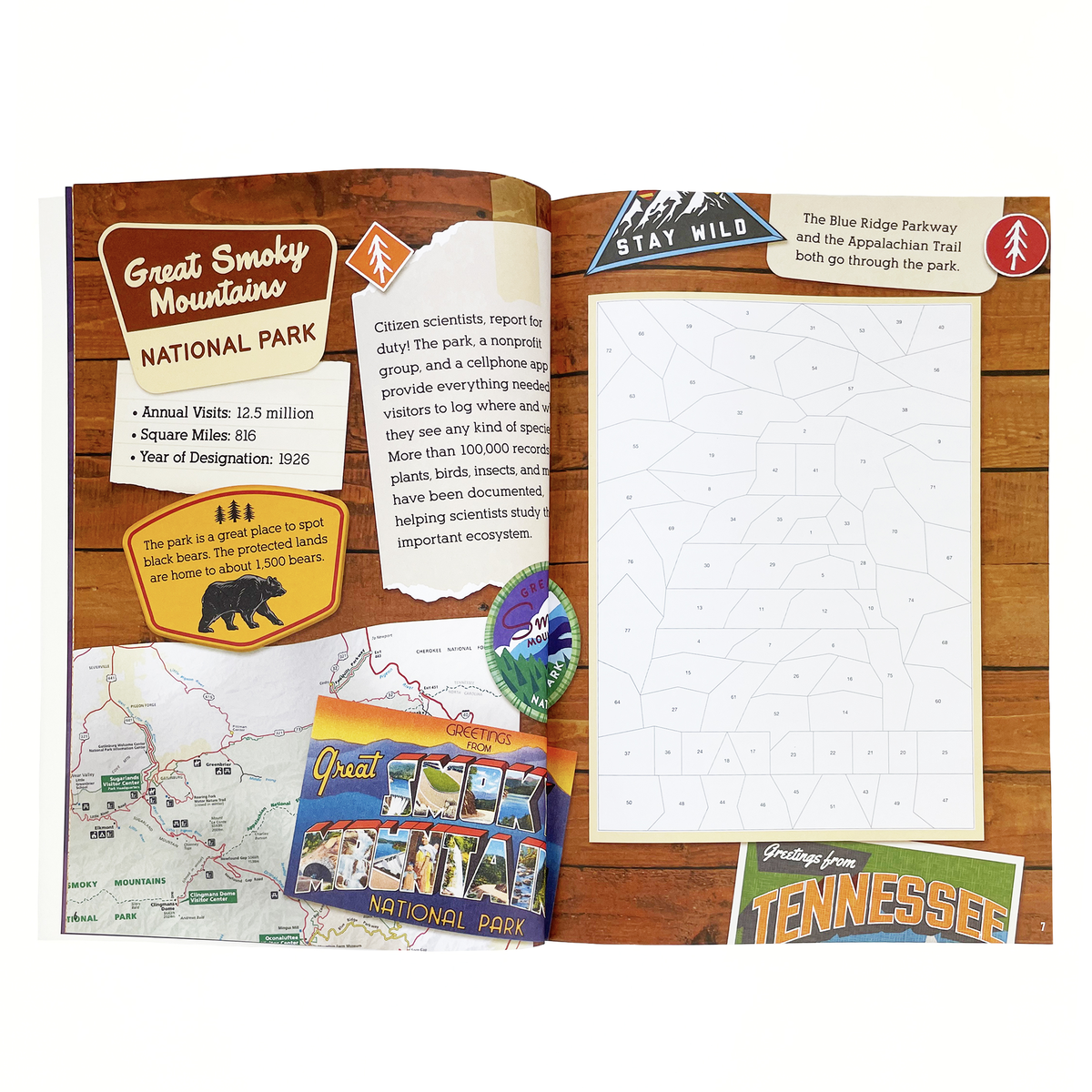 Nps Sticker Book National Parks: Sticker-by-Number Activity Book – Smoky Mountain Off ...